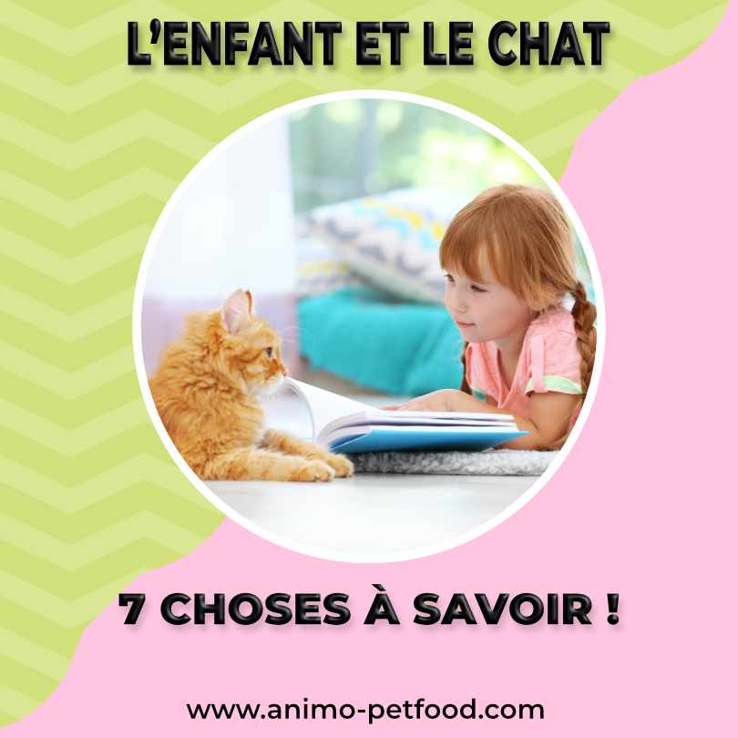 enfant chat_ relation enfant chat_comportement chat